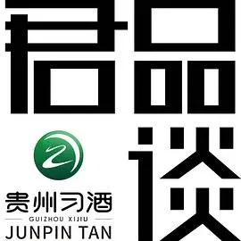 《君品谈第一季》：大咖云集！聆听行业领袖的智慧之声，洞见未来趋势