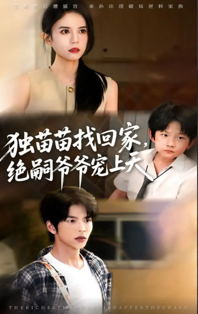 《独苗苗找回家绝嗣爷爷宠上天》：穿越时空的爱恋，遗腹子与家族恩怨的温情救赎！