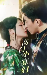 《高门小寡妇》：挑战旧俗，女性觉醒与新生的悲壮赞歌