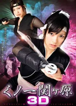 女忍关原：古代女忍者的传奇战斗与情感纠葛的惊心动魄